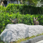 座落於大塊森濤景觀庭園後方的街道家具，以大自然生態(tài)為靈感創(chuàng)作《河畔青青》，建立起土地與建築的對話，承載人們愜意悠然的片刻。