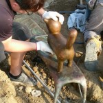 獨(dú)佔(zhàn)板凳的貓，專注又神氣的神情，彷彿訴說：「我比任何人都在意日昇日落的時刻，因為那代表我可以跟樹玩『踩影子』的小遊戲。」