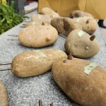 每一隻鳥兒的嘴喙，打磨得光亮、平滑顯得相當逗趣，描繪一隻隻收起翅膀想要自由卻又嚮往安定的鳥兒，即將在「新業(yè)築願景」築起與家人相守的巢。