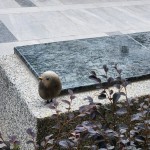 選用基地的石頭來做街道家俱，運用此塊土地生長出來的原石，透過人的創(chuàng)造，分享土地與建築之間的對話及溫暖守護的連結。 