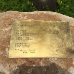 鐵樹與貓，樹屋與鳥，彼此共鳴出有溫度的故事，在此地生根萌芽。