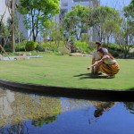 陽光草坪 實景圖