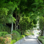 公共人行道 實景圖