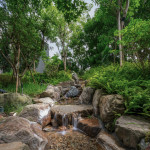 中庭景觀一隅 實景圖