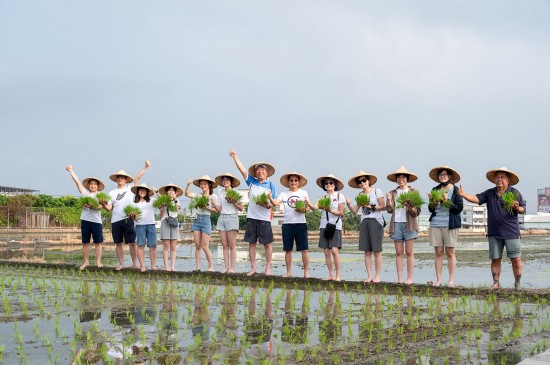 大暑之日，新業(yè)建設(shè)的大家長(zhǎng) 穆椿松名譽(yù)董事長(zhǎng)(右七) 與 卓勝隆董事長(zhǎng)(右六)帶領(lǐng)各部門同仁，一大清早，來(lái)到契作認(rèn)養(yǎng)的霧峰田間，體驗(yàn)農(nóng)家插秧盛事。