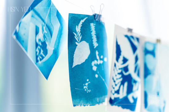 將明信片一字排開，藍(lán)與白的濃淡交織，映照出每位住戶獨(dú)特的創(chuàng)作築跡。