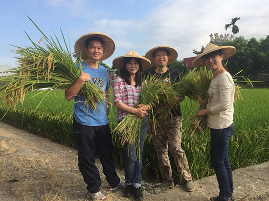 手握一畝田，回以這片土地最敬虔的溫柔。