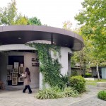 綠蔭盎然、四年的照護，讓爬藤植物悄悄包覆在「新業(yè)書席」之上。此次參與鐵道文學特展，書席新增鐵道文學主題書籍，讓大家也可以一覽鐵道之美。