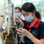用雙手炙熱的溫度，一捏一壓，棉繩編綁，一串串的美好心意，在佳節(jié)時(shí)刻為長(zhǎng)輩們獻(xiàn)上祝福。