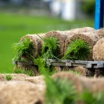 一捲捲的秧苗捲，像極抹茶瑞士捲，捲秧苗也是一門學(xué)問(wèn)，彎著腰把有重量的苗卷一左一右的放置，為了方便搬運(yùn)不壓壞秧苗，層層疊疊，也方便後續(xù)秧苗機(jī)的使用。