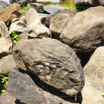 每一顆石頭背後乘載無(wú)盡的歲月，塵土與大地的繾綣，風(fēng)吹水流，留下獨(dú)特紋理、歷史刻痕，堅(jiān)毅的外殼更富含著溫柔的故事。