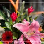 良辰吉日，透過(guò)聲聲祝禱，繫起天地與人之間的對(duì)話，期盼2024年完工的【築森鄰】完美收尾。