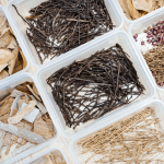 森林裡、步道旁，隨處可見的枯枝落葉、樹幹、樹皮，在透過仔細觀察各式昆蟲的型態(tài)與構造，就能製作出帶有童趣的植物昆蟲。