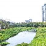 與家族相聚於西屯路永安橋的筏子溪，即將在此展開一場(chǎng)意義非凡的生態(tài)保育行動(dòng)。