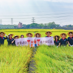 邁入第14年的契作認養(yǎng)，以友善農(nóng)法耕作，保障農(nóng)友收益也為環(huán)境留下良田。