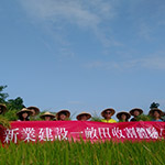 一同體驗農夫莊稼收割