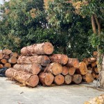 透過素材再利用，延續(xù)了木材的價(jià)值，新業(yè)積極響應(yīng)永續(xù)發(fā)展，打造與自然共存的建築。