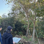 以緞帶為記，牽起『烏臼』與『大塊藏硯』的緣分，靜待時機，在新的落腳處，延續(xù)自然與人文之間的美好記憶。