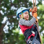 上攀的過(guò)程中，考驗(yàn)著手腳的靈活度及協(xié)調(diào)性，更是一場(chǎng)與大自然的對(duì)話，過(guò)程中僅能靠著自身的力量，慢慢地一步步上攀到制高點(diǎn)。