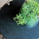 玻璃盆栽盛滿著盎然的綠意，悄悄向外蔓延，不妨期待著這株綠意在某一天帶給你的驚喜。