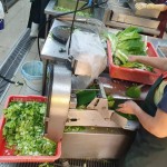 每天早上，中央廚房就開始著手備餐，雖忙碌，但每個流程是滿滿的用心與付  出。