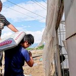 上一代承接給年輕小農(nóng)的，並不是土耙鋤頭，必須從零開始做起，從一袋袋肥料開始扛起。堅持盡可能讓肥料灑得剛剛好，適量不過量，讓土地更有永續(xù)發(fā)展的餘裕，以善念回應(yīng)給土地。