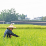 支持霧峰在地三代小農(nóng)，友善耕作，堅(jiān)持品質(zhì)，嚴(yán)選品種，保留大地最純粹的溫柔。