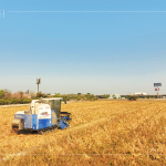 放眼望去猶如金黃稻浪，結(jié)綴累累的稻穗是農(nóng)民們辛勤付出的最美風景。