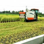 一粥一飯，當(dāng)思來處不易，所扒進(jìn)嘴裡的每一口飯，我們都能想見：此刻，樂天的農(nóng)民正以著最樸實(shí)的笑容，來迎接稻田每一天的欣欣向榮。