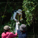 帶上夾子、爬上邊坡，草堆之間可以明確看到這些待清除的「不塑之客」，唯有仔細尋覓，才能還給河川與自然乾淨(jìng)的家園。