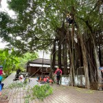 需擬定縝密的攀樹計畫、風險評估，配戴好各式攀爬裝備。安全第一!
感謝「樹沃客」專業(yè)團隊。