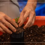 透過手的溫度，傳遞對自然環(huán)境的關懷，一棵樹是人與土地的連結，希望透過努力、堅持與分享，讓臺灣『大肚山–淺山森林』恢復到應有的自然樣貌與內涵。