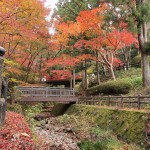山號「一乘山」的根來寺，美景俯拾即是，滿園的楓紅落葉紅了南紀(jì)的秋天。