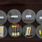 除了油畫棒，講師當(dāng)天還攜帶了其他的創(chuàng)作媒材，並分享各款媒材的成分差異與使用差異，讓創(chuàng)作者日後更能輕易分辨媒材。