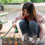 將分盆好的樹苗放置育苗方盤中，將這些剛搬新家的小樹苗們澆點水，後續(xù)統(tǒng)一放在中央培育區(qū)，慢慢長大。