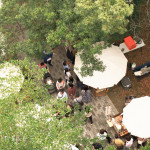 森林裡的春日漫遊，在陽光下放鬆身心，沿著小徑慢慢散步，靜靜地為自己充電，收集生活中的簡單美好。