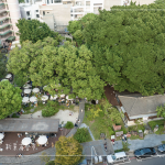 植物茂密繁盛，書香氣息瀰漫，1863坪內的百年榕樹，樹大根深的高木，伴隨其他樹種，更顯綠意盎然的景致。