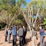 親自確認(rèn)並檢查樹種的生長狀況，看葉片茂盛程度與樹形，彷彿能預(yù)見社區(qū)未來的質(zhì)感一景。
