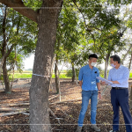 新業(yè)建設(shè) 簡福榮 總經(jīng)理(右一) 與景觀設(shè)計團隊逐步討論，樹種與樹高，為建築尋找契合的對象。