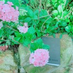 枕在石上的手札本，藏在詩中的少女情懷正等著誰翻閱？