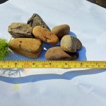 石頭們各司其職，就連小小的溪石，也恪盡職守讓水流潺潺，不受阻也不間斷。