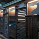 在黃光暈染下，貓也慵懶地窩著身子，大樹時(shí)而抖落紅葉，正等待著，有人攜書悄然來到……