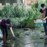 河中的前三名殺手──菸蒂、破碎塑膠袋、瓶蓋吸管，易被小魚小蝦或青蛙誤食。