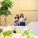 與新業(yè)家族們在午后時刻團聚，一同度過『良辰吉食』的優(yōu)格饗宴。