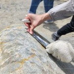 以鋁箔膠帶為記，牽起與新業(yè)的緣分，等待時機，即將坐落臺中『大塊森濤』社區(qū)，延續(xù)自然與人文的美好記憶。