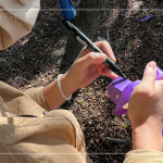 在綁樹帶寫上樹種及編號，每一顆樹都有了印記，都是經(jīng)由新業(yè)職人團隊的專業(yè)見解，及審慎評估後決定出的結(jié)果。我們相信：「不只是我們選樹，樹也在選擇一個值得託付終身的對象」。