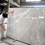 石材表面帶有自然的紋理與色澤，彷彿大地沉積歲月的筆觸，內(nèi)斂卻蘊含力量，新業(yè)職人以獨到眼光揀選，成為空間裡最具靈魂的表達。