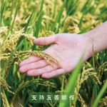 逾11載的『新業(yè)一畝田』－看見霧峰小農(nóng)對(duì)於自然農(nóng)法無農(nóng)藥、無化肥的堅(jiān)持，守護(hù)這份對(duì)土地的溫柔心意，堅(jiān)持契作認(rèn)養(yǎng)，已成為我們的自然，不虧待這樣的純粹及美好，固定贈(zèng)予所有新業(yè)的住戶，讓善的念想在這片大地一直傳遞下去。