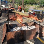 離終點2K處，竟然看到一整隻的烤乳豬！陣陣撲鼻的肉香真讓人垂涎！