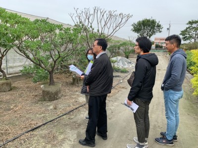 在一棵樹身上看見對堅(jiān)持的講究